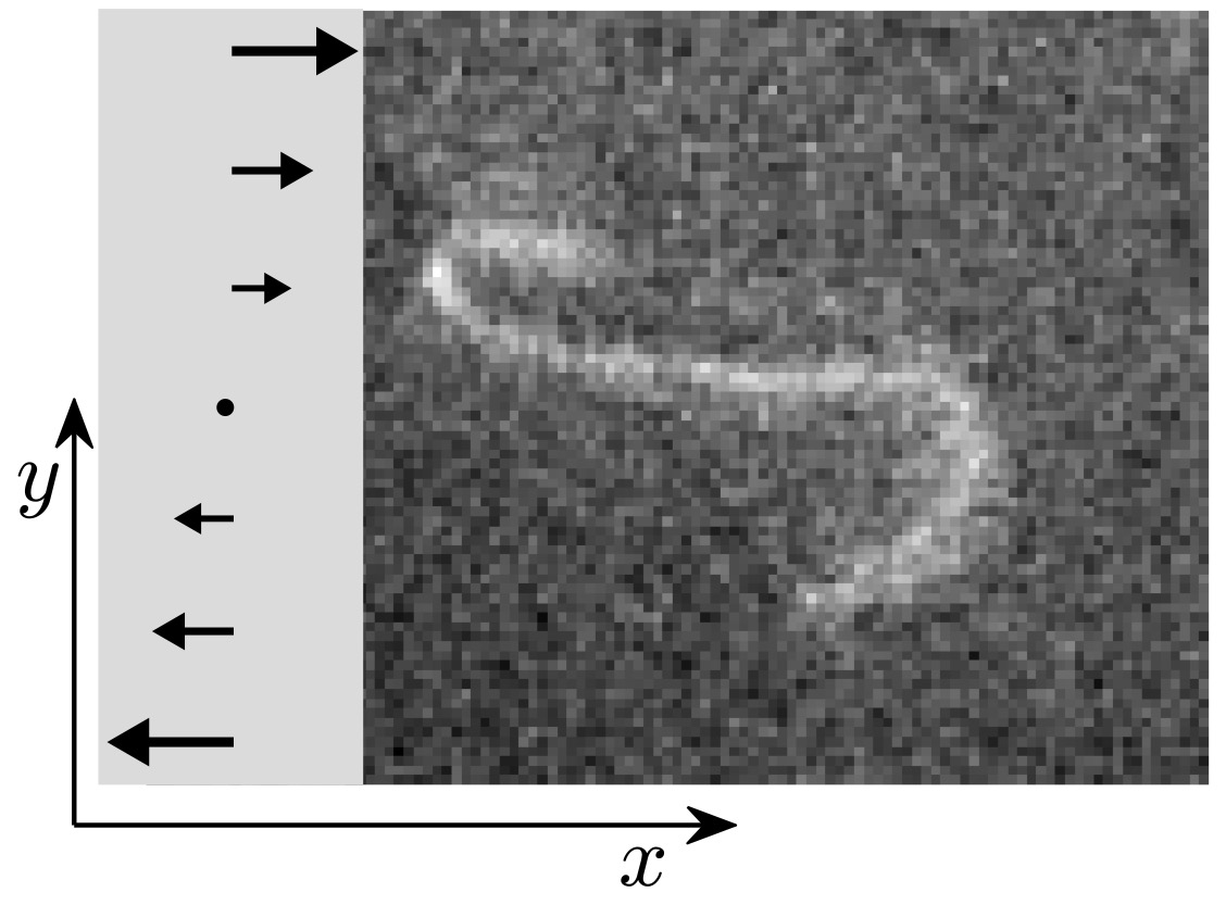 Oscillatory shear flow