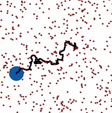 RTP dispersion