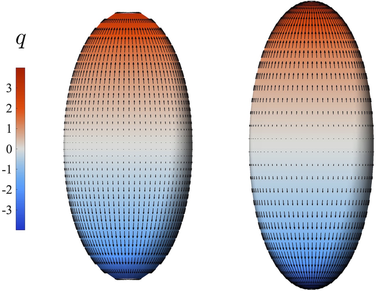 Oscillatory shear flow