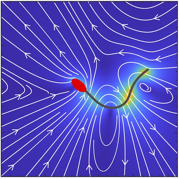 Analysis and extension of exact mean-field theory with dynamic synaptic  currents